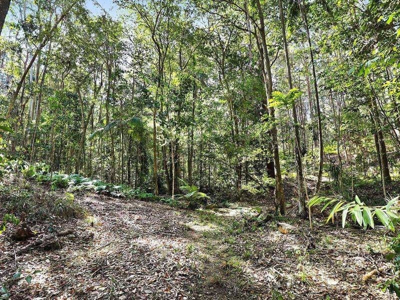 40 ACRES IN BUDERIM'S HEART ON 2 TITLES - A VERY RARE AND UNIQUE LAND HOLDING
