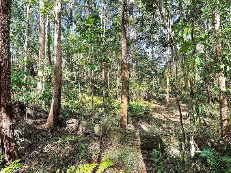 40 ACRES IN BUDERIM'S HEART ON 2 TITLES - A VERY RARE AND UNIQUE LAND HOLDING