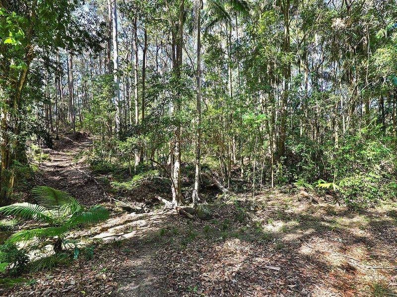 40 ACRES IN BUDERIM'S HEART ON 2 TITLES - A VERY RARE AND UNIQUE LAND HOLDING