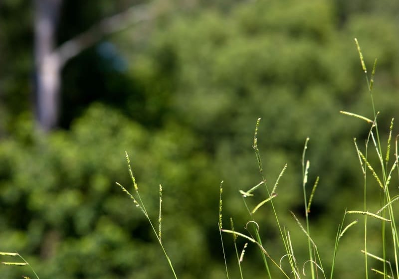 DISCOVERY: ONLY 4 LOTS REMAIN WITH COMPLETION DECEMBER 2019
