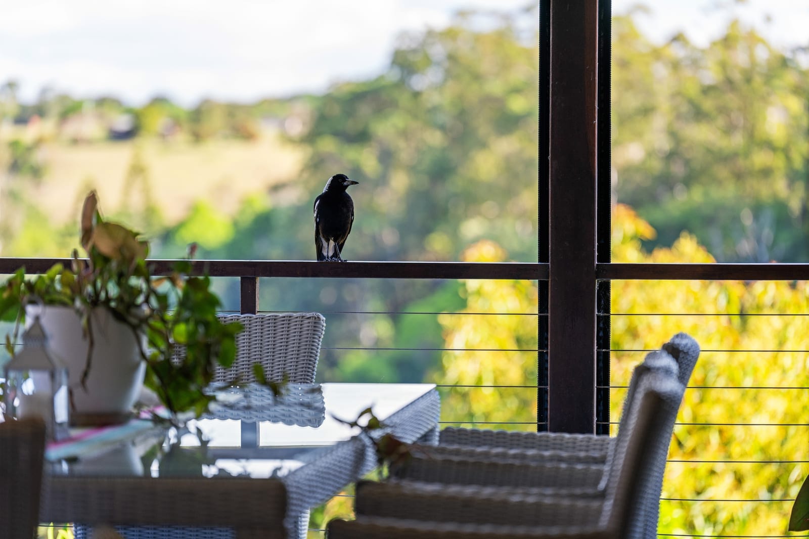 Where Views, Space & Serenity Meet Your North Maleny Haven Awaits