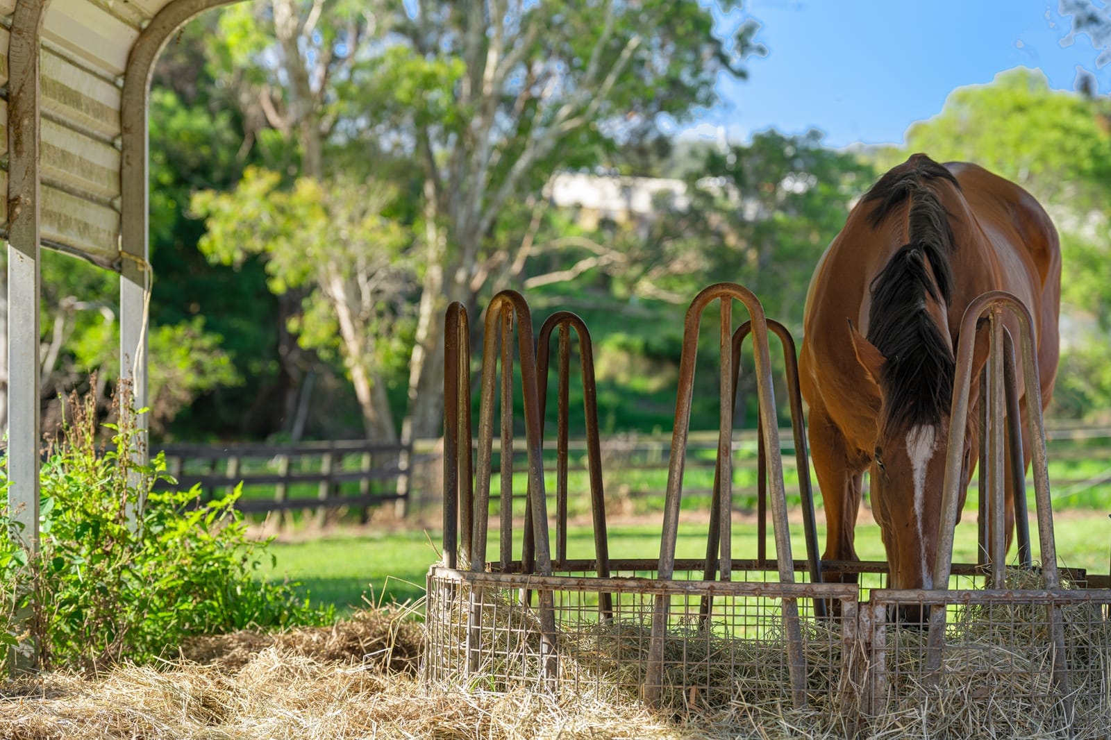 Family-Friendly Queenslander with Horse Yards & Room to Roam