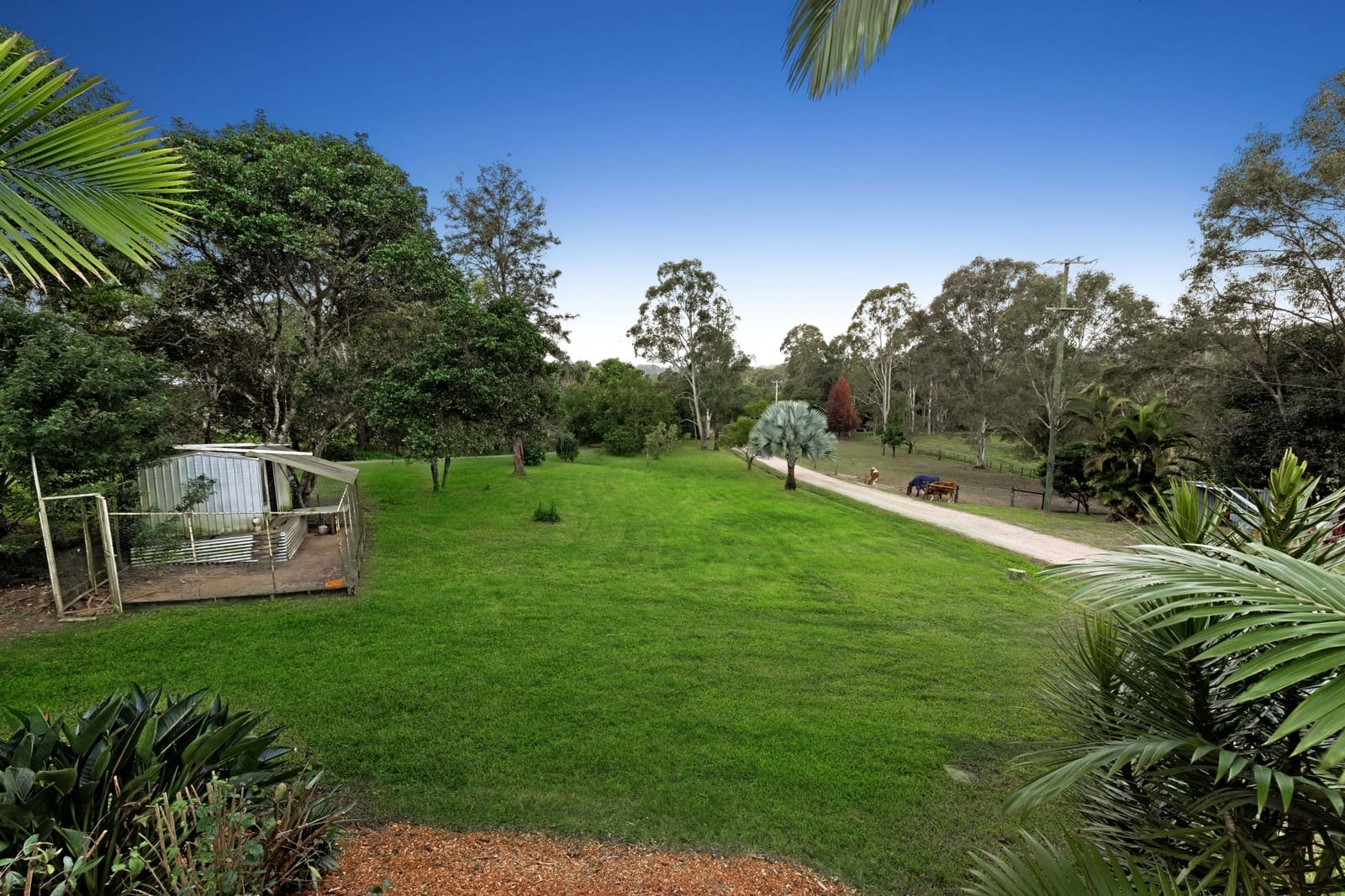Acreage Perfection, East-Facing Entertainer!