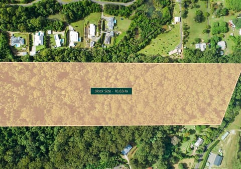 Elevated 10 Hectares, East of Highway!