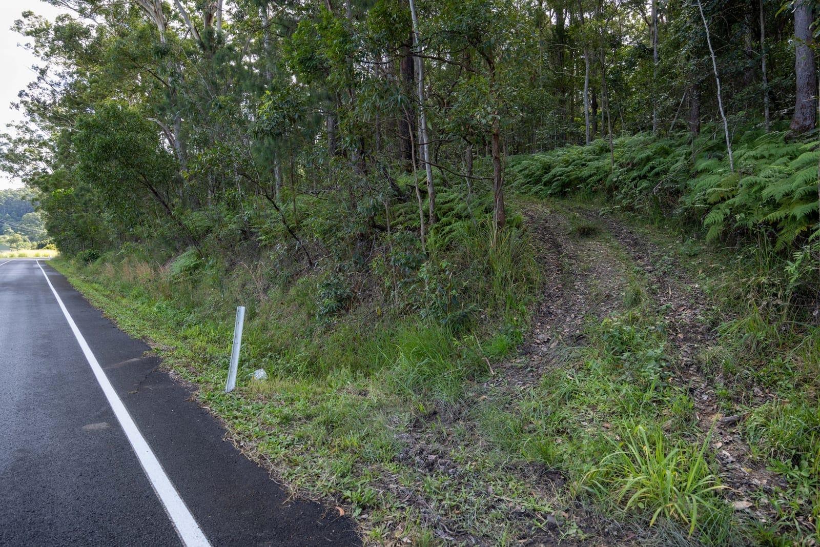 Elevated 10 Hectares, East of Highway!