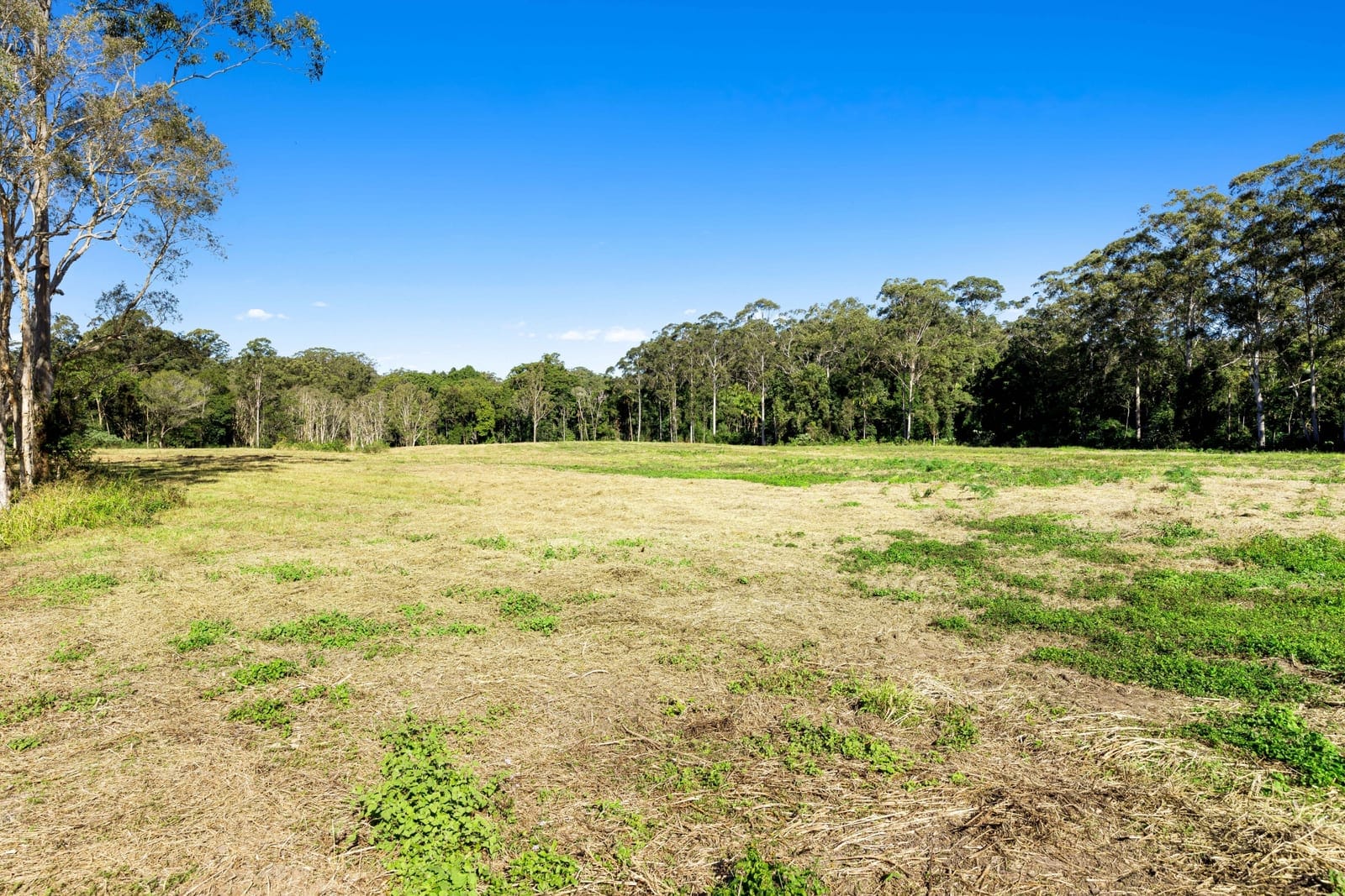 Landmark Acreage Parcel – 63.7 Acres