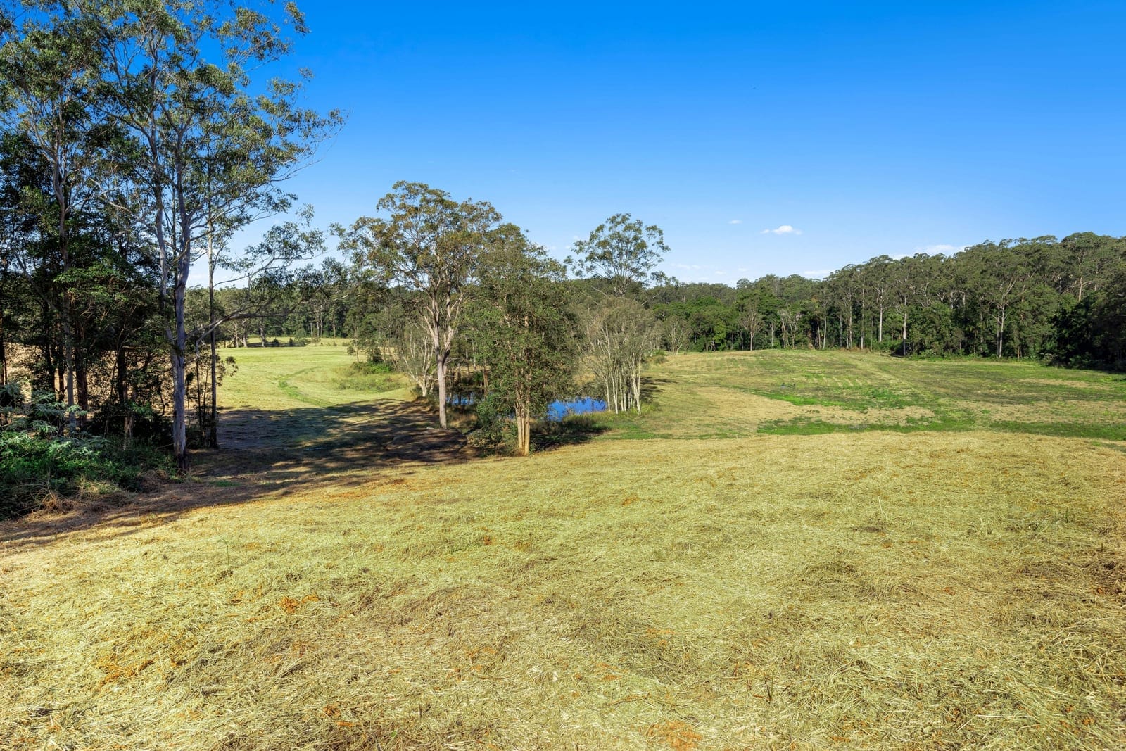 Landmark Acreage Parcel – 63.7 Acres