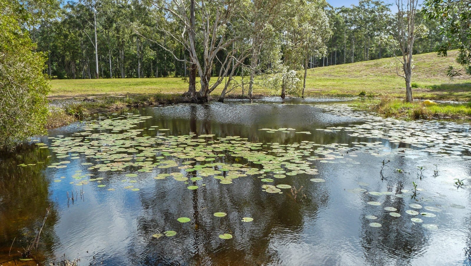 Landmark Acreage Parcel – 63.7 Acres