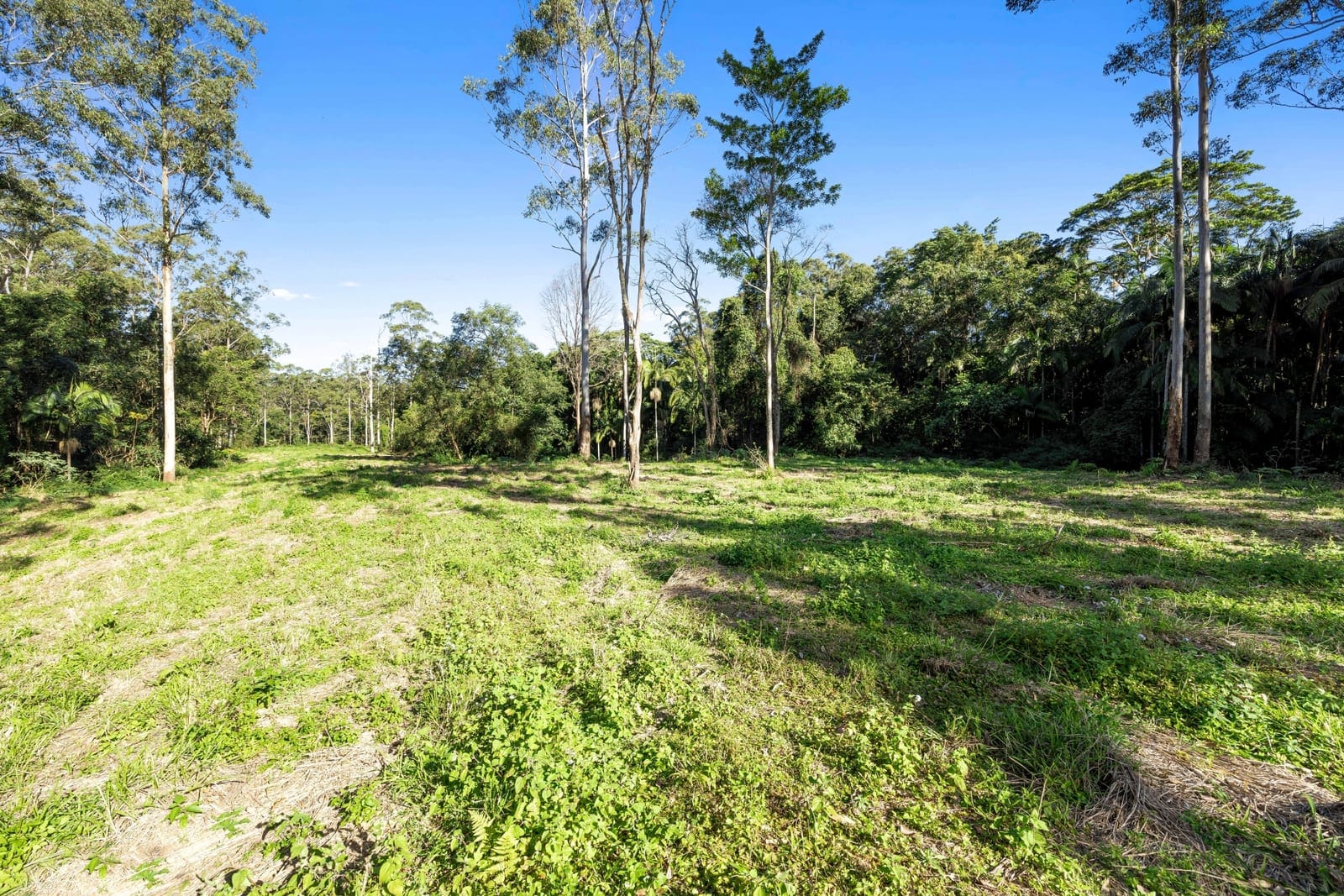 Landmark Acreage Parcel – 63.7 Acres