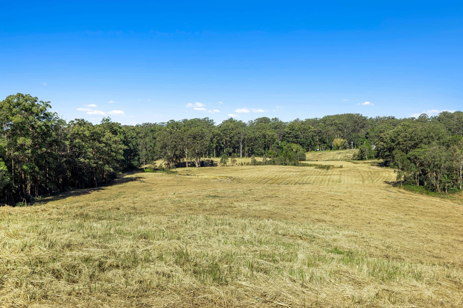 Landmark Acreage Parcel – 63.7 Acres