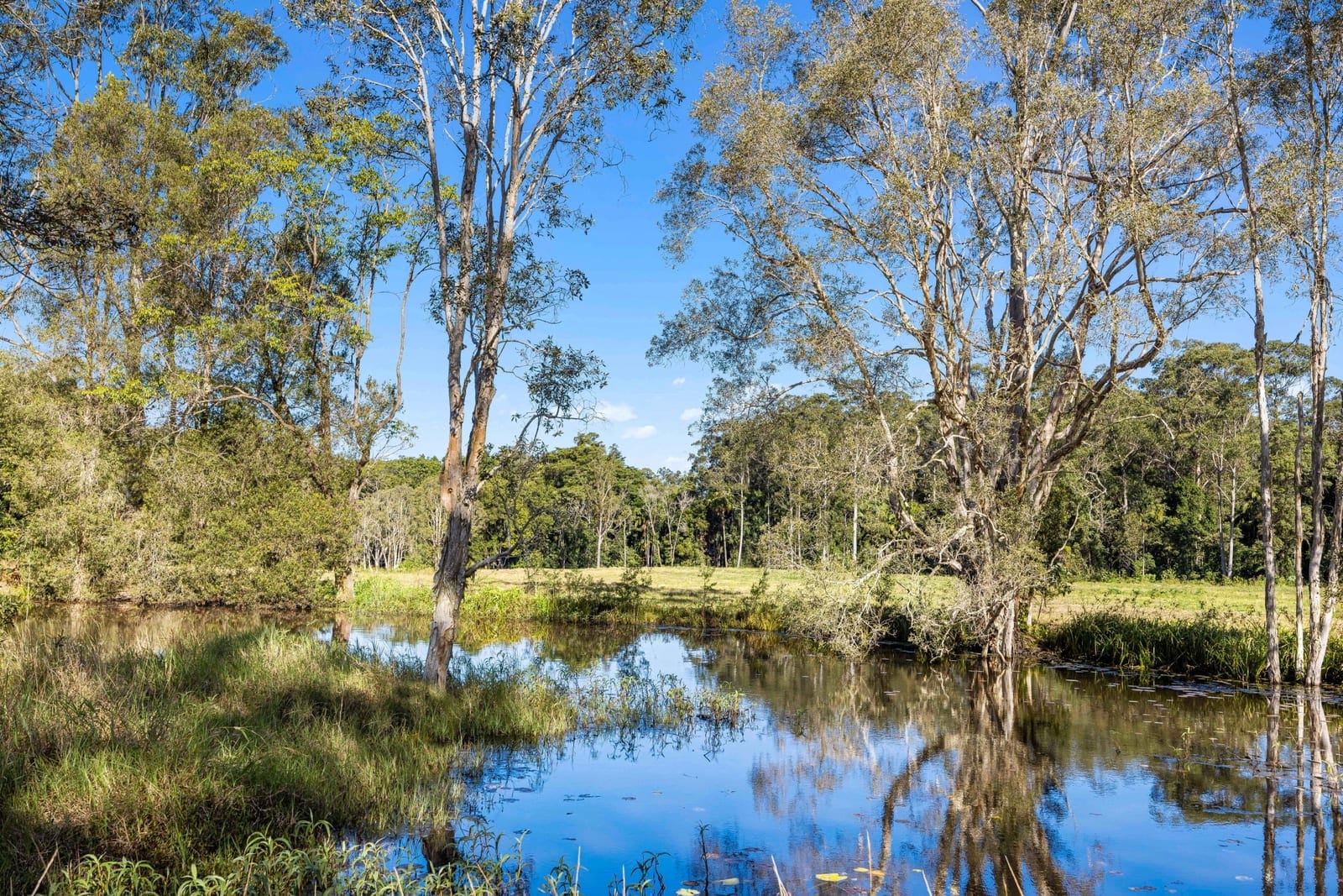 Landmark Acreage Parcel – 63.7 Acres