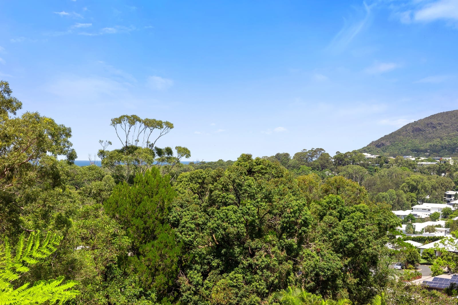 Unique Opportunity – 1002sqm Elevated Block, Ocean and Mountain Views