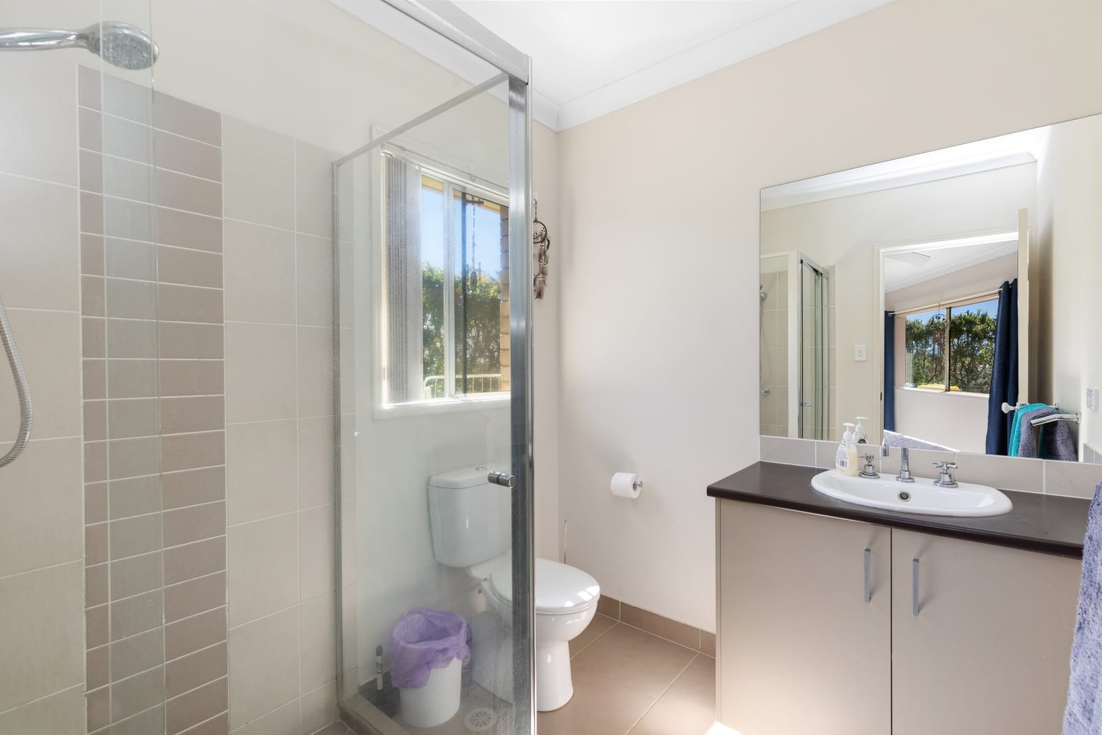 Mountain View Entertainer: Options Galore!