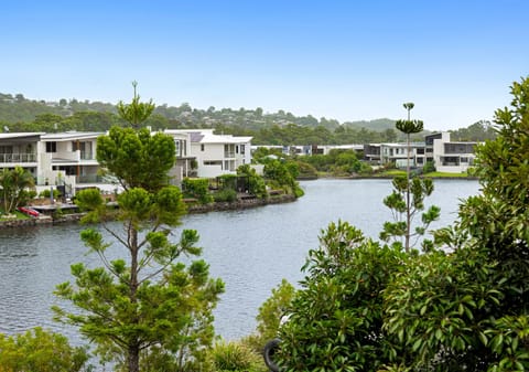 Sold by Corey Payne