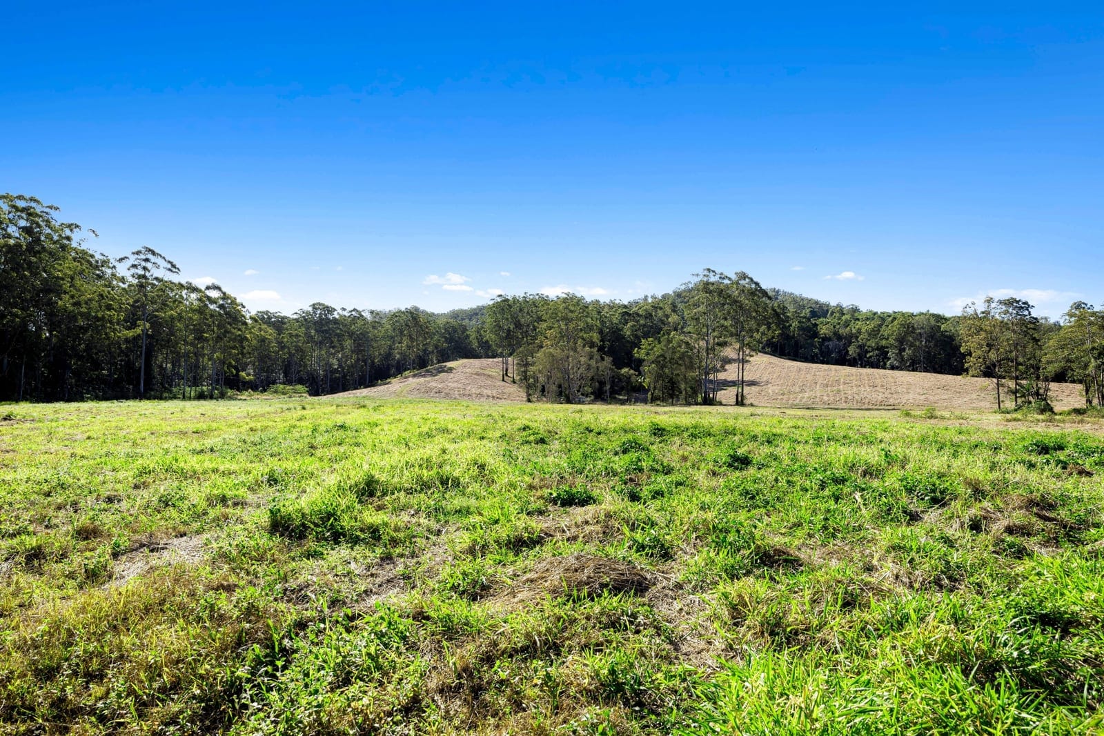 Landmark Acreage Parcel – 63.7 Acres