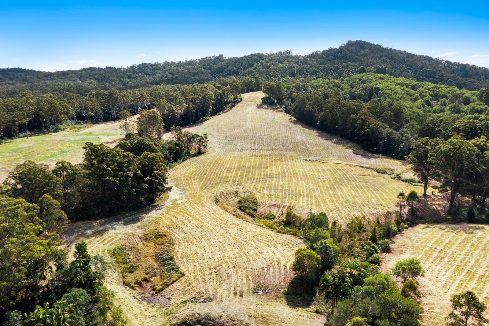 Landmark Acreage Parcel – 63.7 Acres