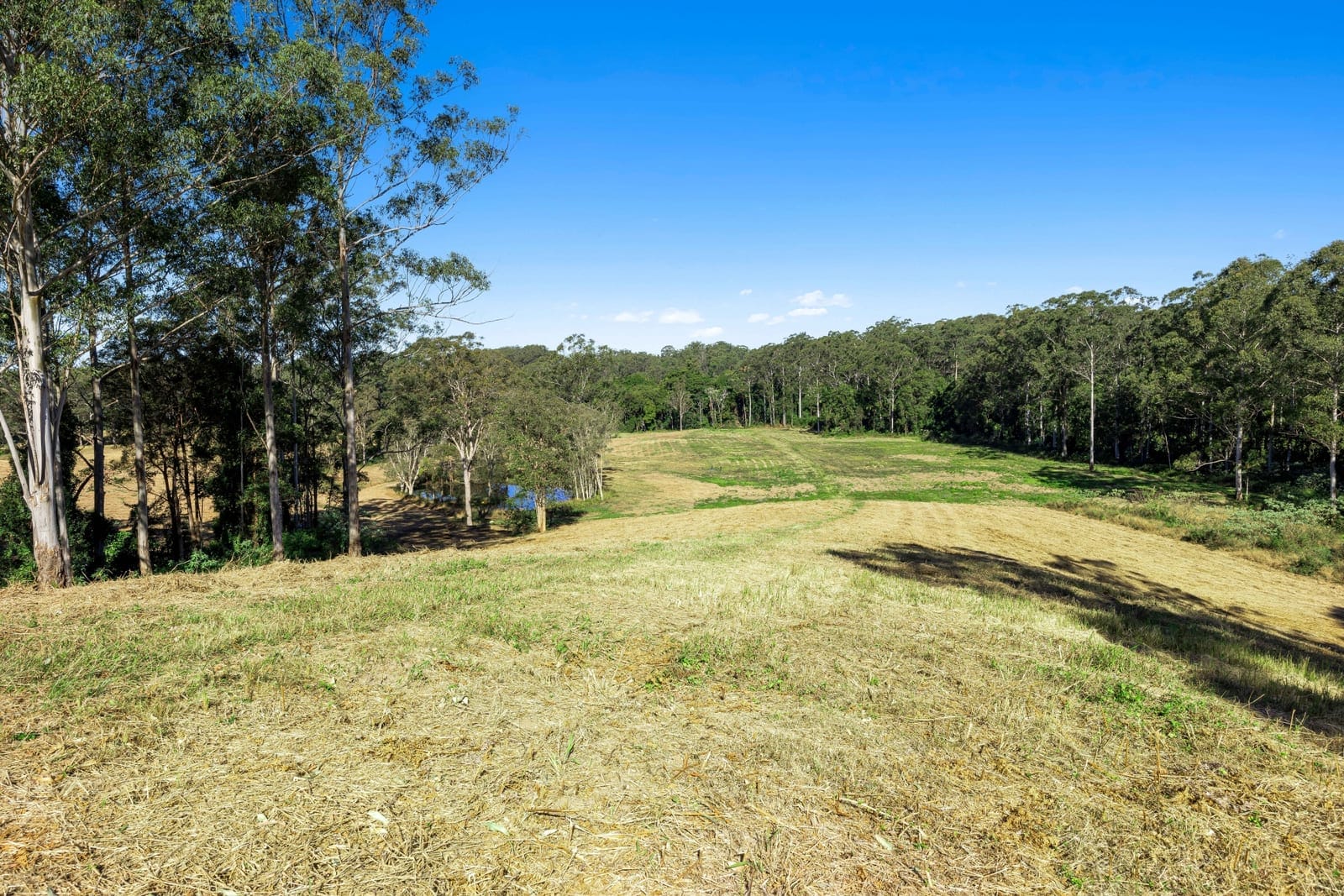 Landmark Acreage Parcel – 63.7 Acres