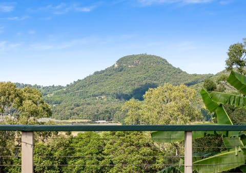 Lifestyle Acreage: Mountain Views, Northerly Splendour