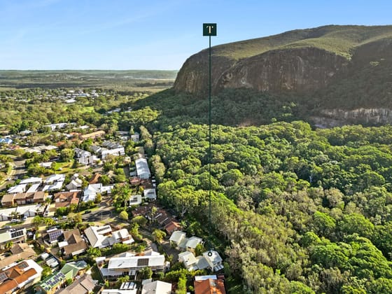 Mount Coolum Delight