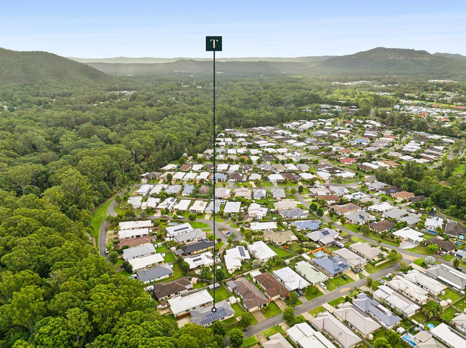 SOLD by Angelina Sweeney & Ollie Lehmann