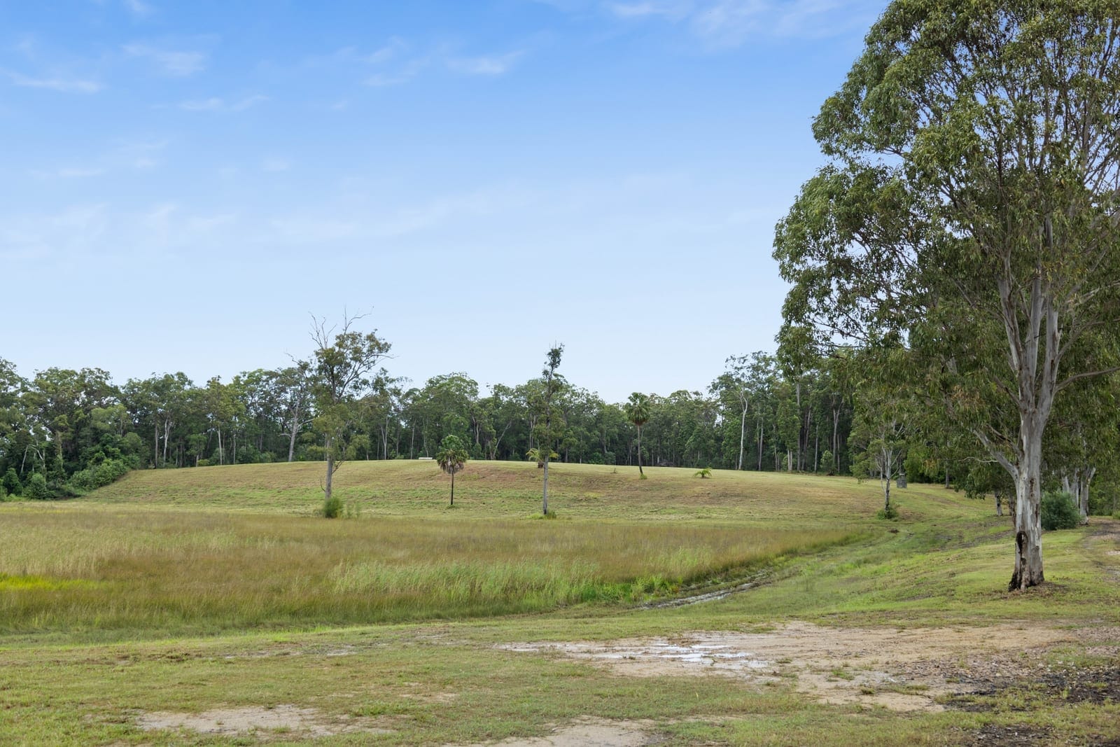 ​Riverpark Resplendence, Noosa Hinterland Acreage