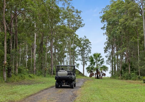 ​Riverpark Resplendence, Noosa Hinterland Acreage