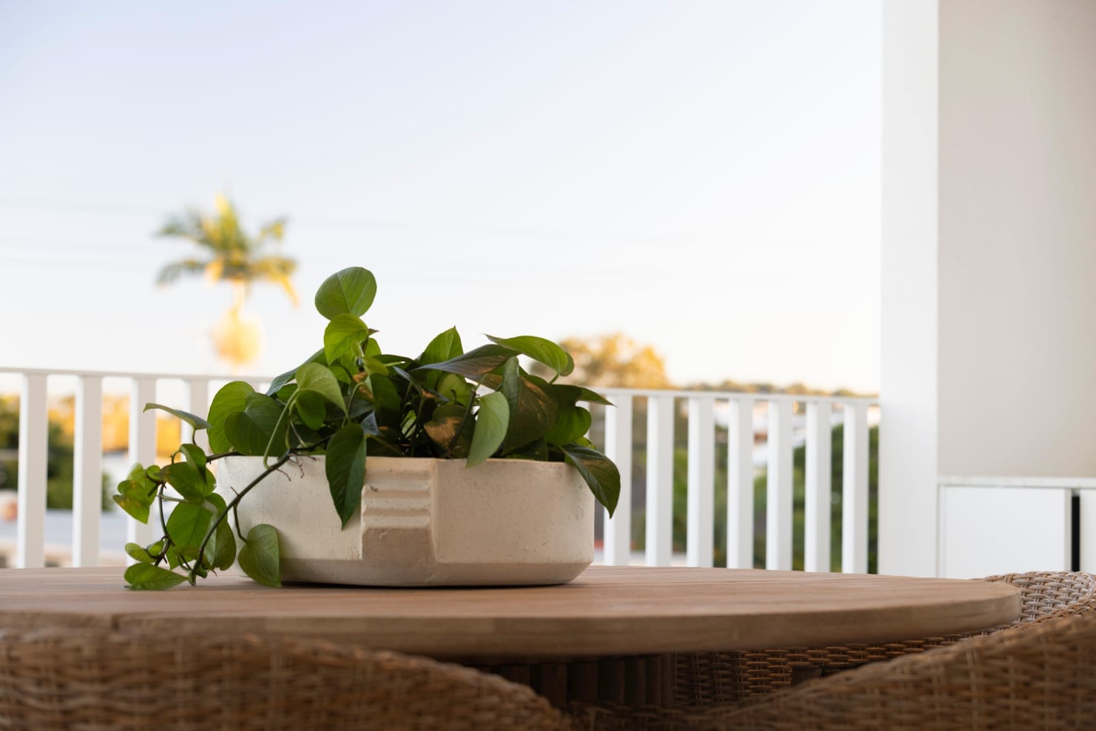 Full-Floor Residence in the Heart of Cotton Tree