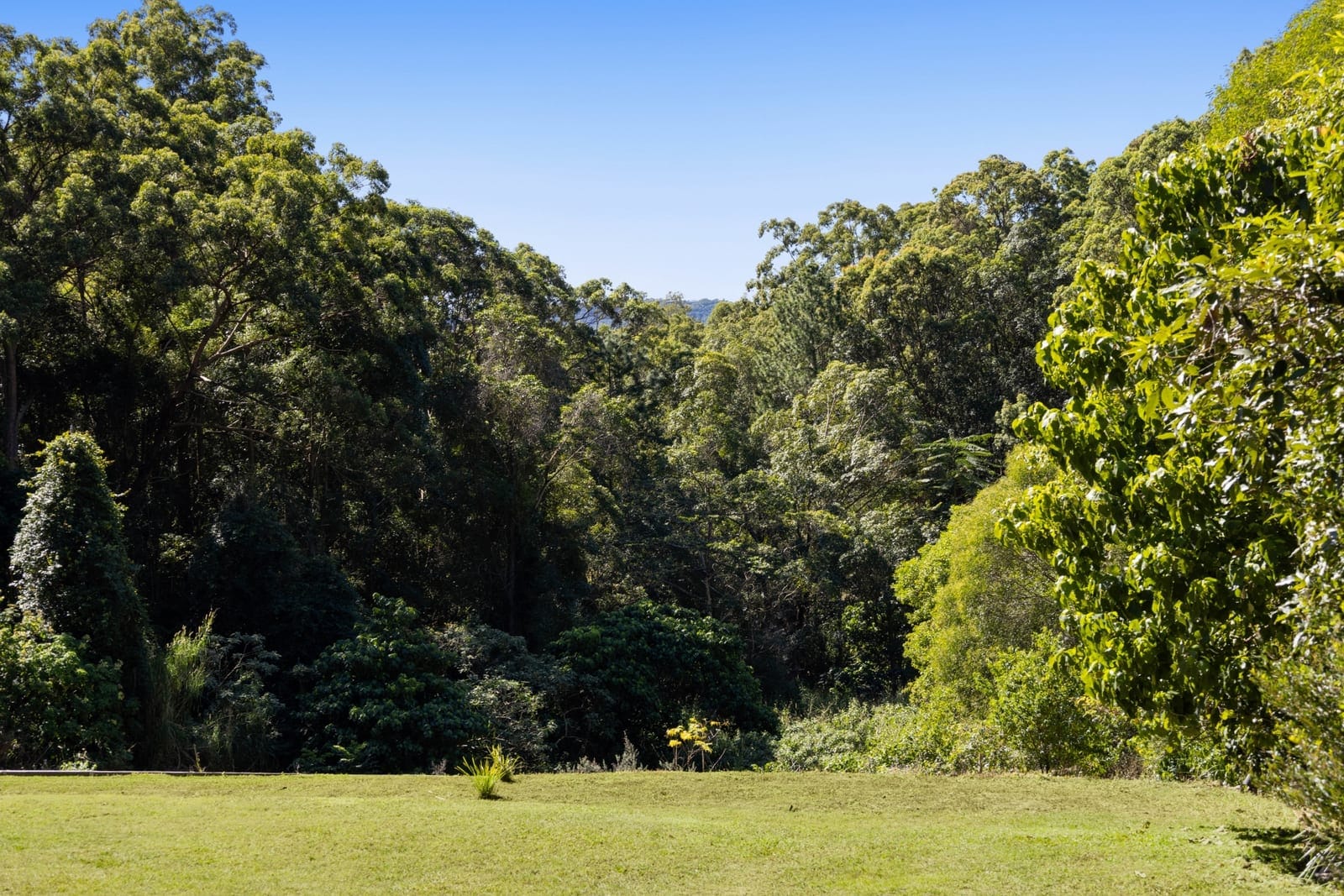 Elevated, Exclusive, Build-Ready Acreage
