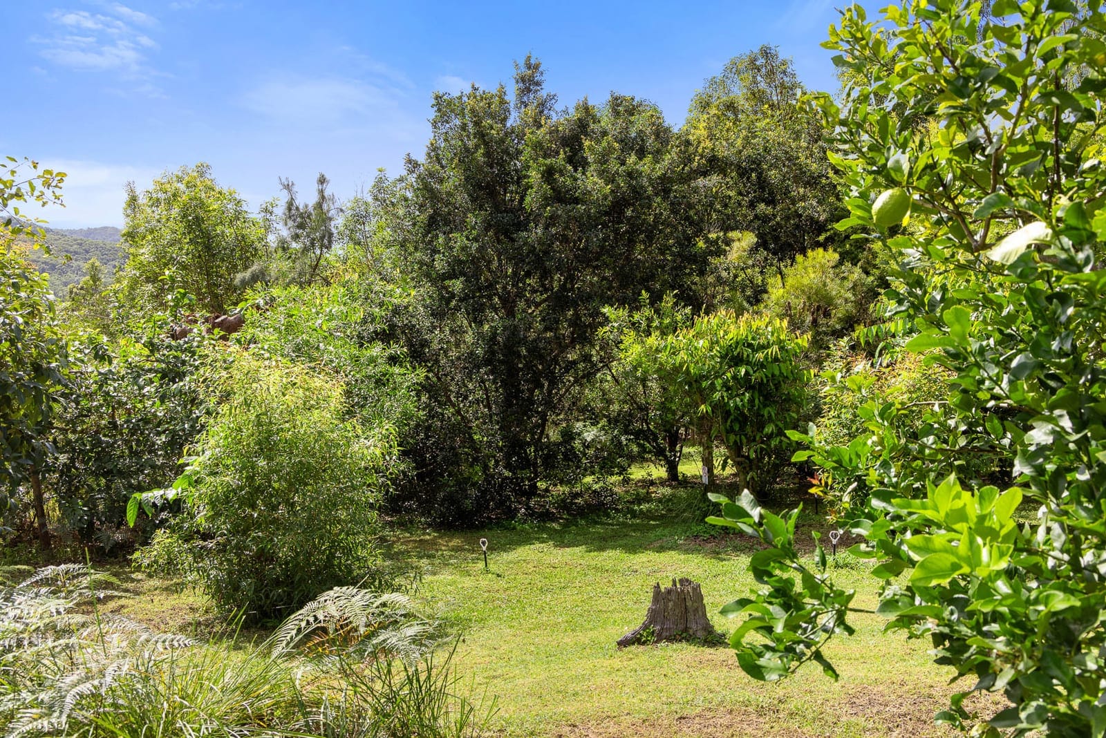 Privacy, tranquility & hinterland views