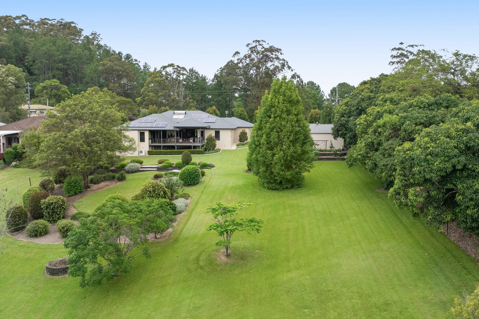 Sold by Corey Payne