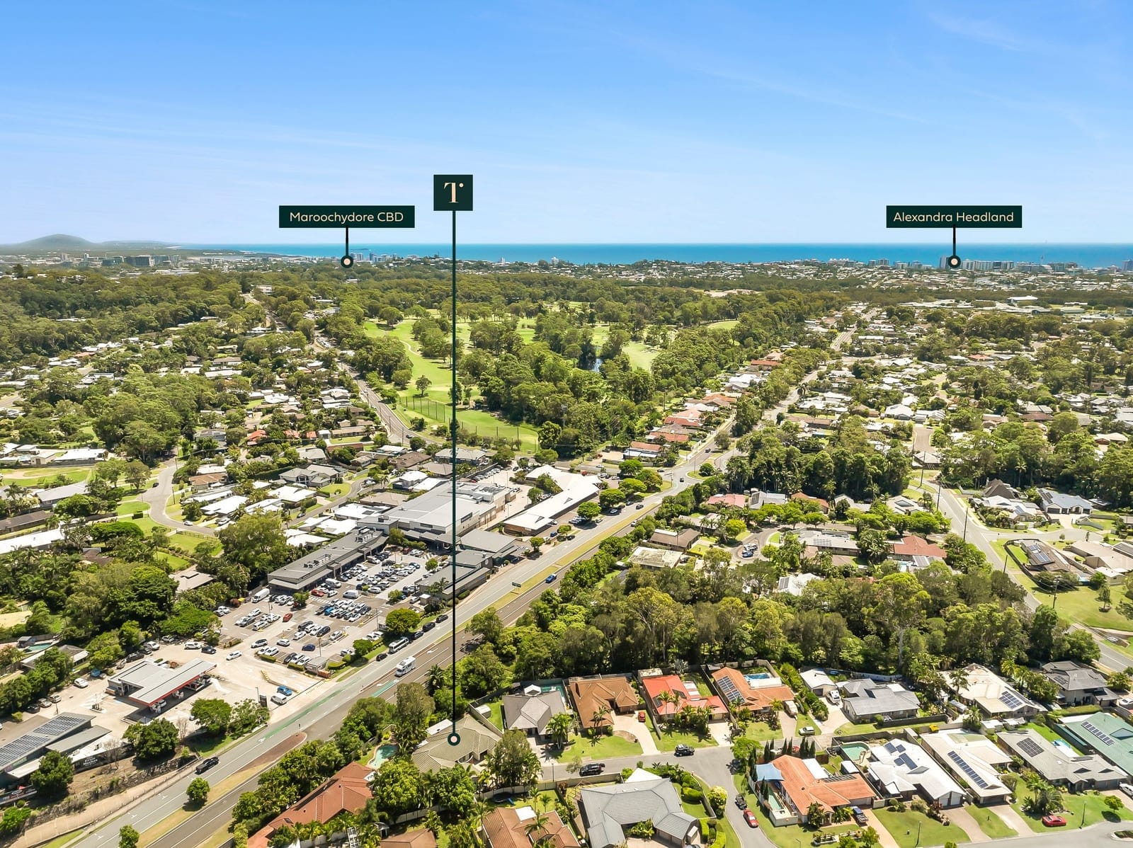SOLD by Ollie Lehmann & Angelina Sweeney