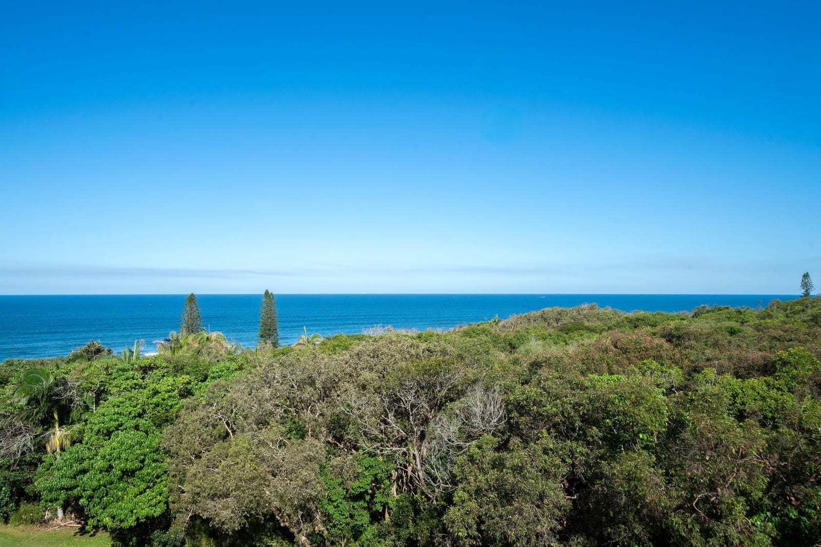Hidden Gem with Views