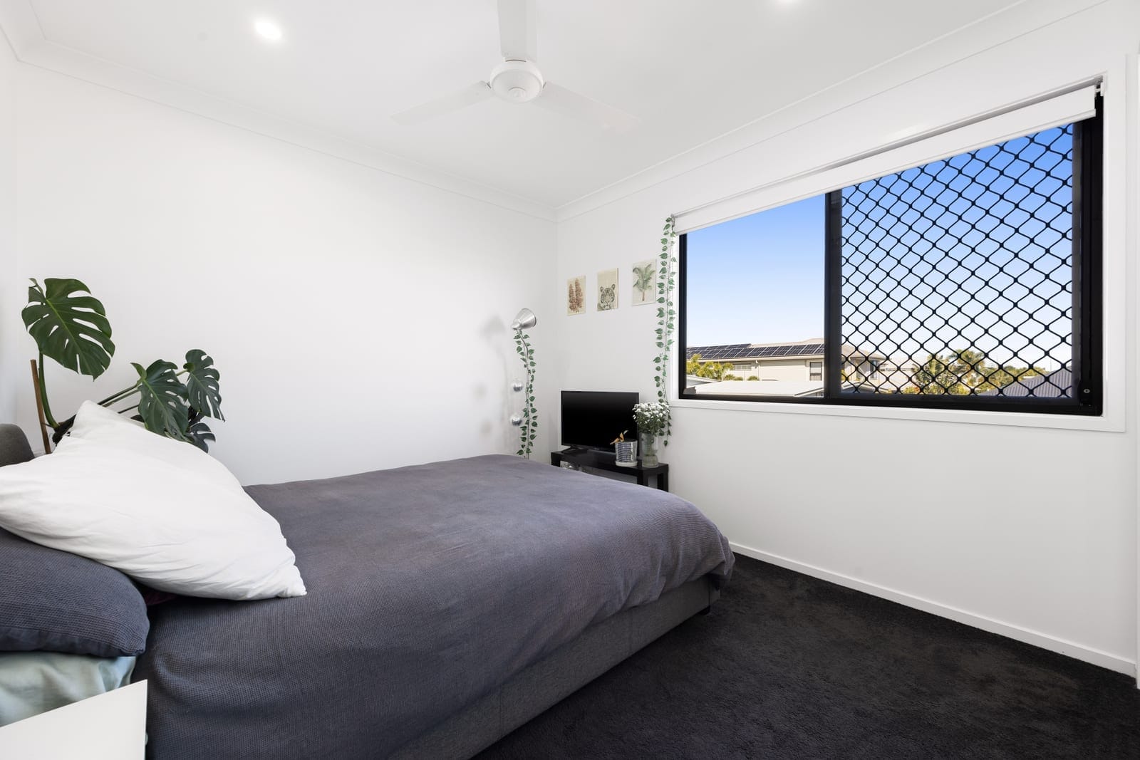 SOLD BY SOF & CHRIS | TOWN