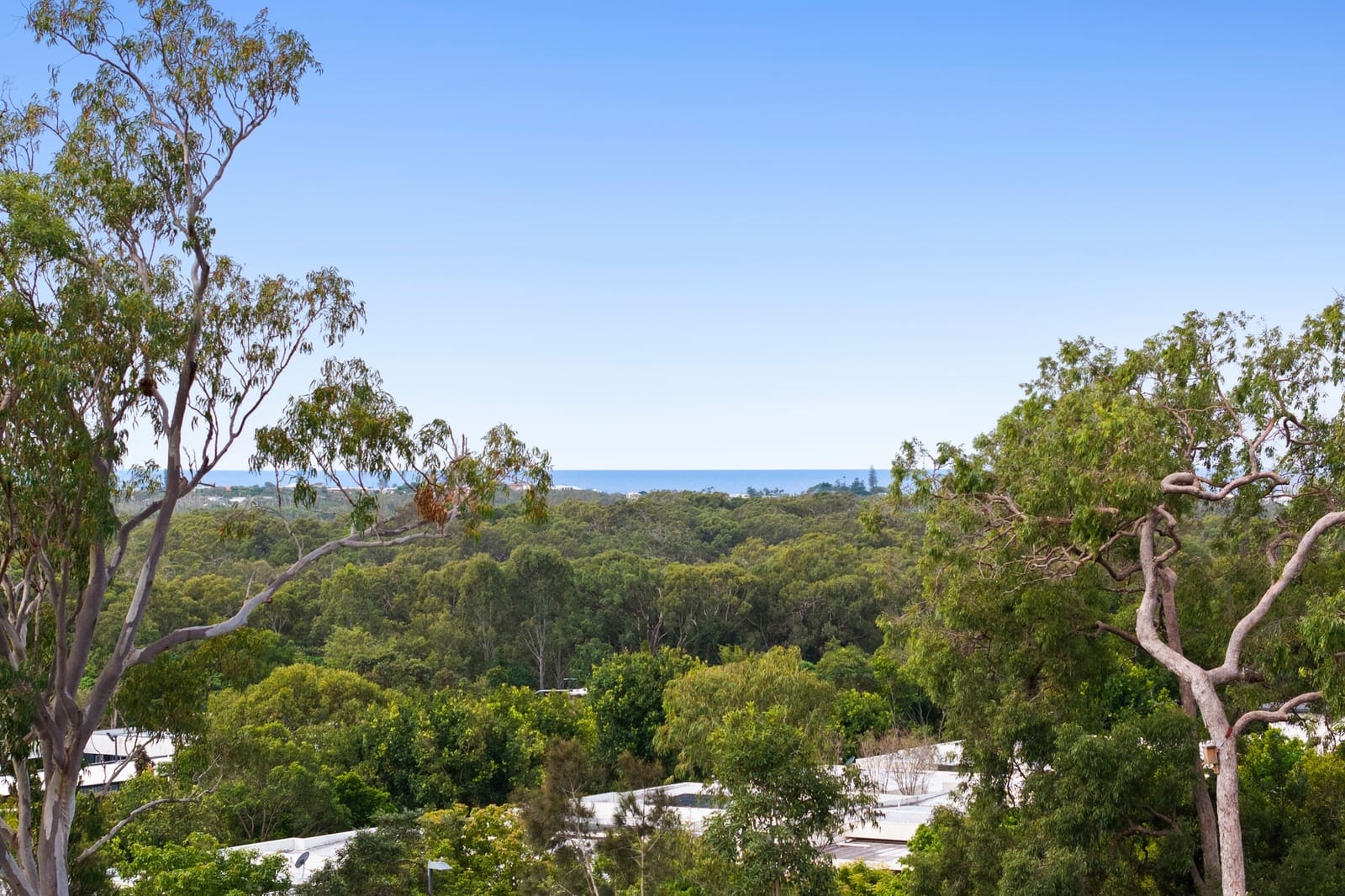 Titled Land in Dream Location Secured, Begin Building Today - Over 50% Sold