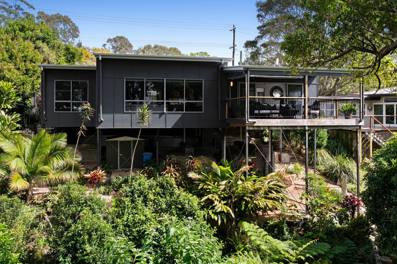 Hinterland Haven Nestled Amongst Treetops!