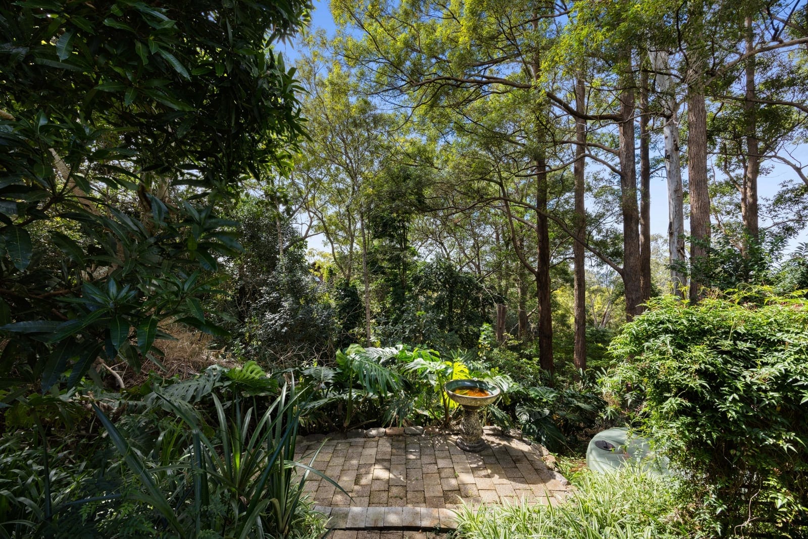 Hinterland Haven Nestled Amongst Treetops!