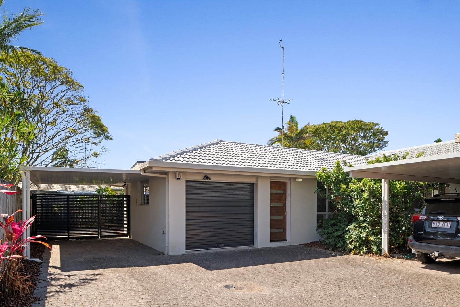 SOLD BY NAJ ELSAYED AND JAMIE VIBERT