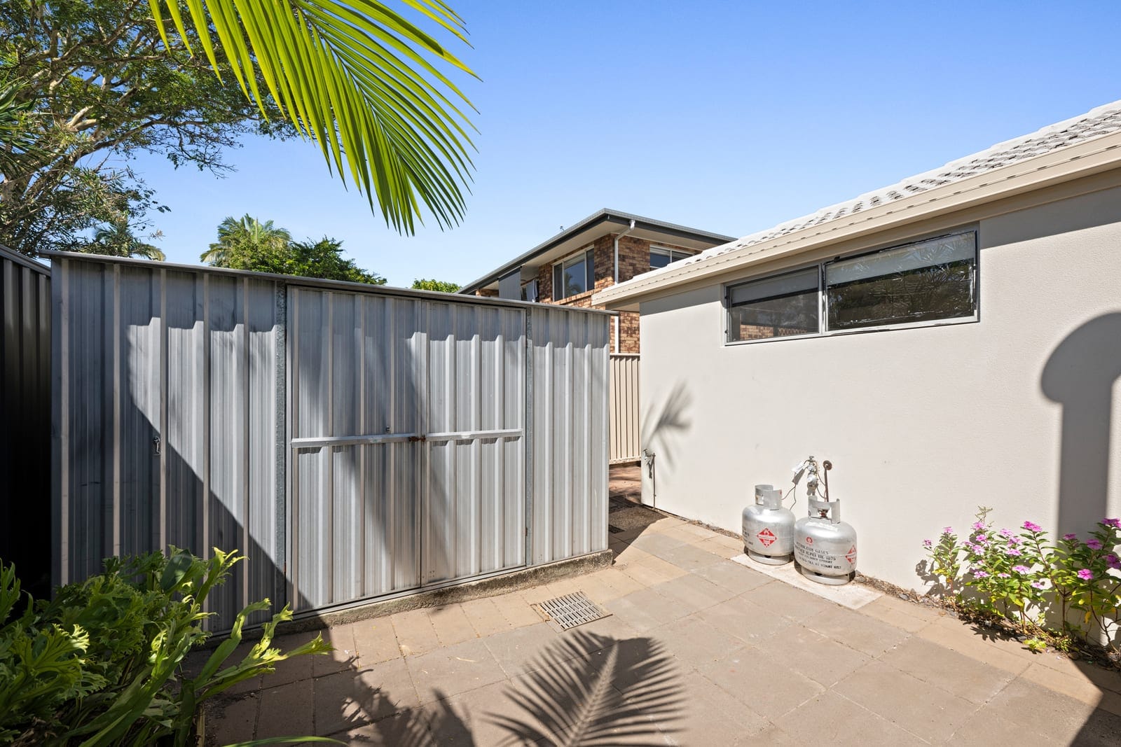 SOLD BY NAJ ELSAYED AND JAMIE VIBERT
