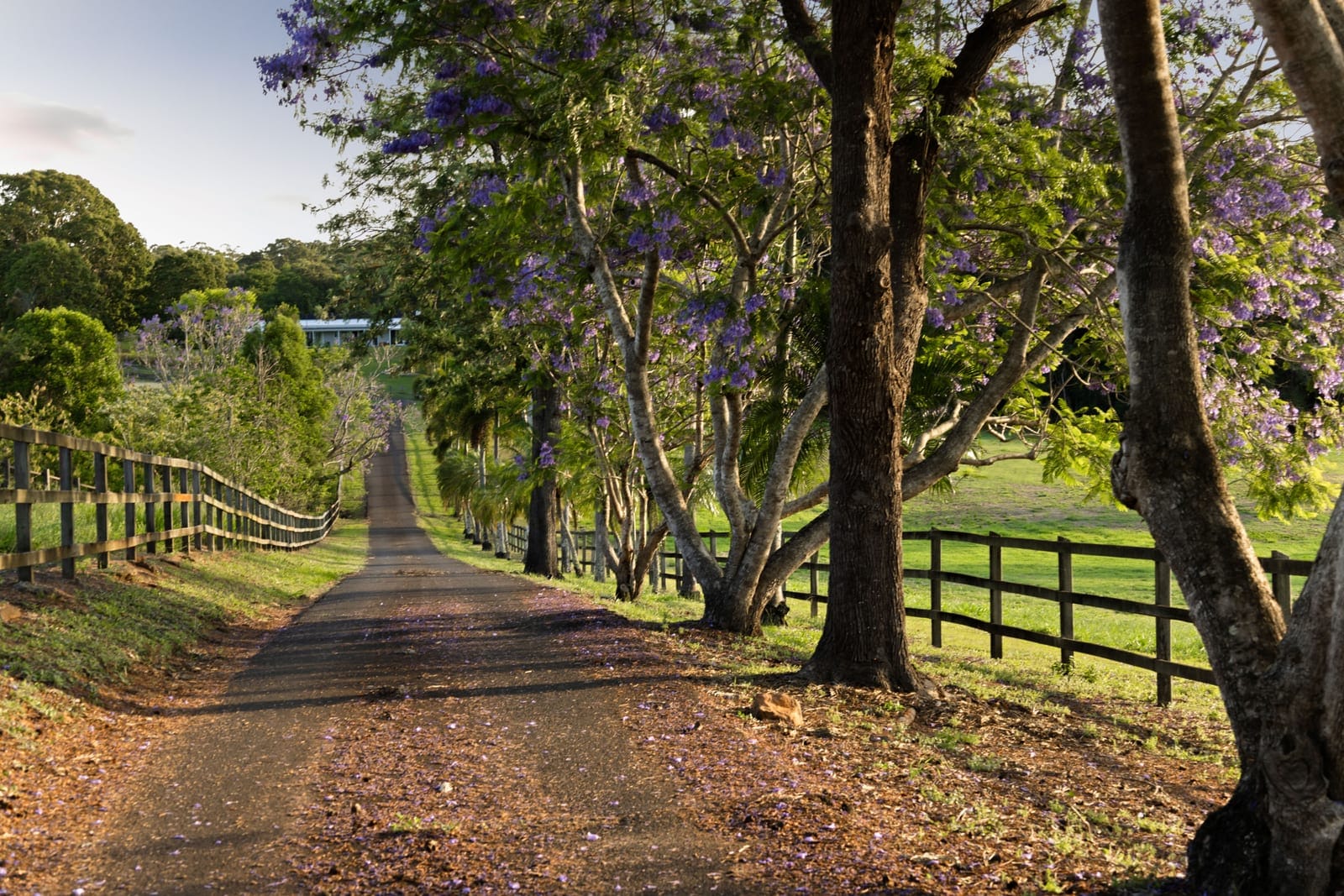 North Facing Acreage Entertainer: Fully Useable 32 Acres