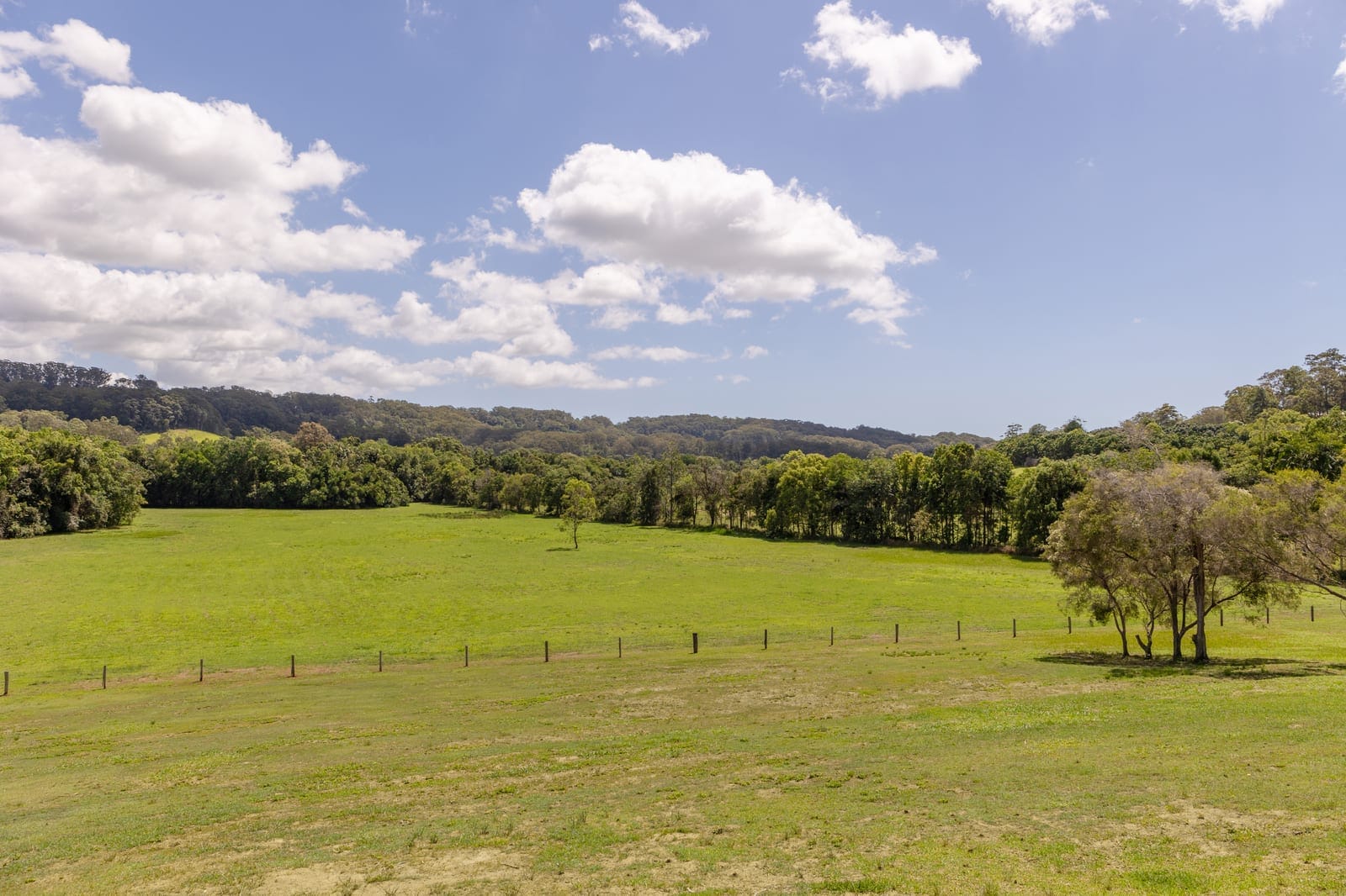North Facing Acreage Entertainer: Fully Useable 32 Acres