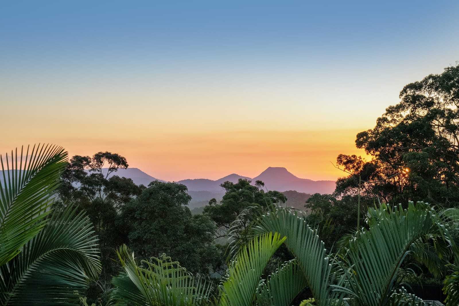 Dual Living Queenslander