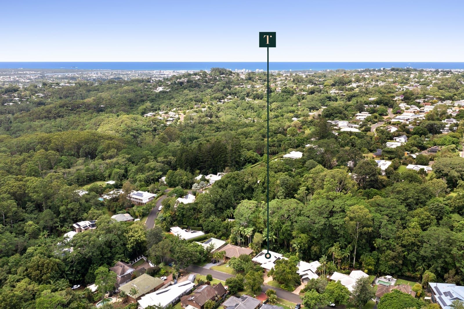 SOLD BY OLLIE LEHMANN