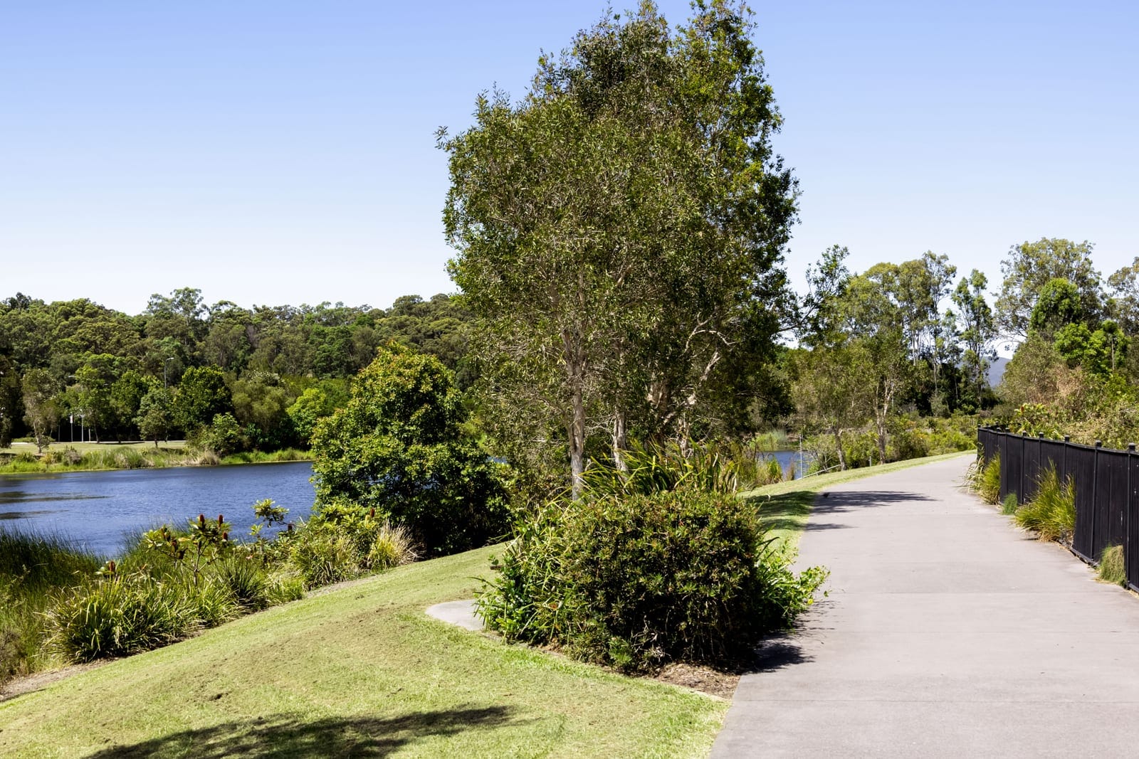 Elevated Outlook and a North-East Aspect in a Central-Sunshine Coast Growth Suburb