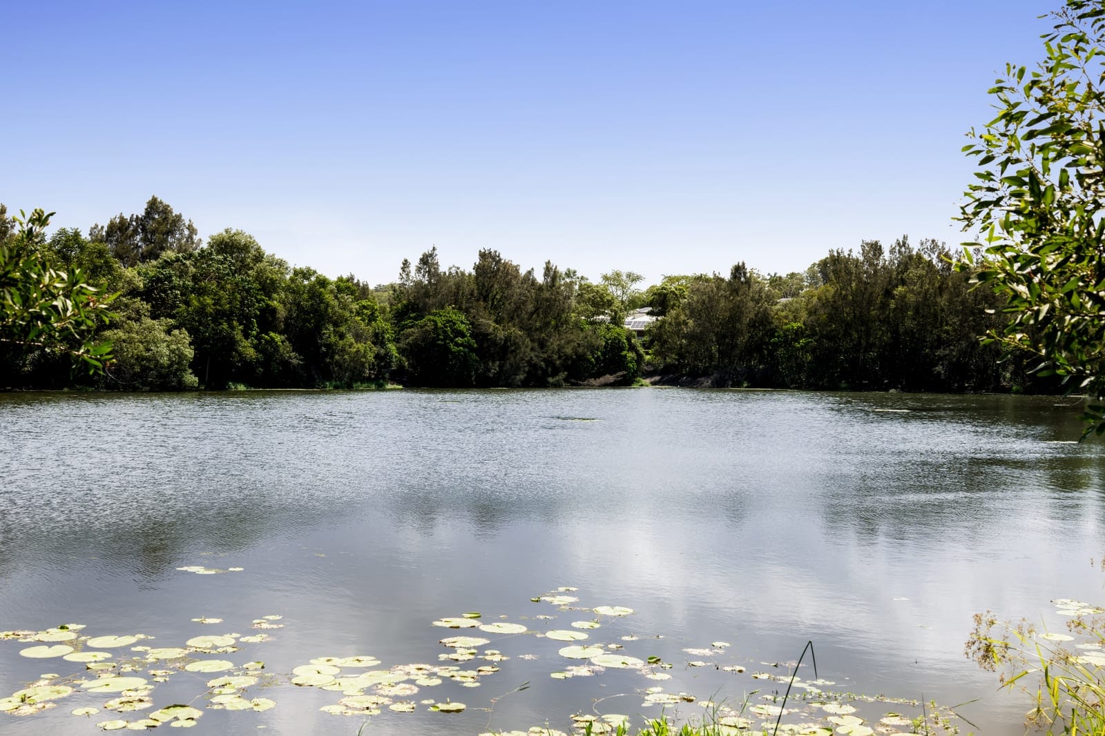 Elevated Outlook and a North-East Aspect in a Central-Sunshine Coast Growth Suburb