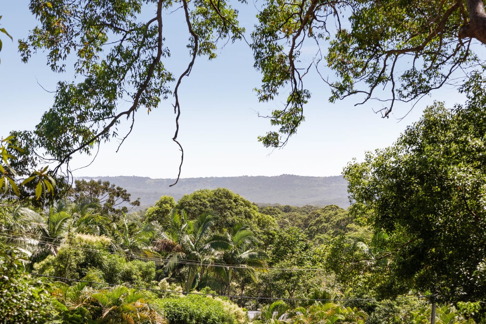 Where Timeless Queenslander Charm Meets Buderim Acreage