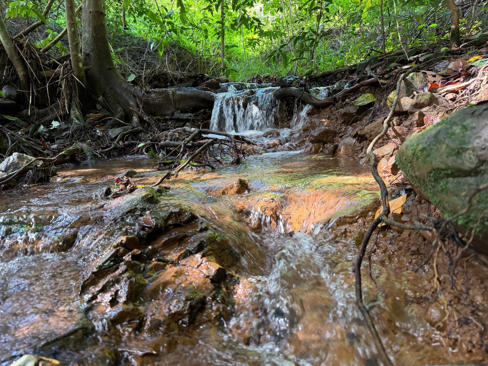 A Private Hinterland Sanctuary with Endless Potential