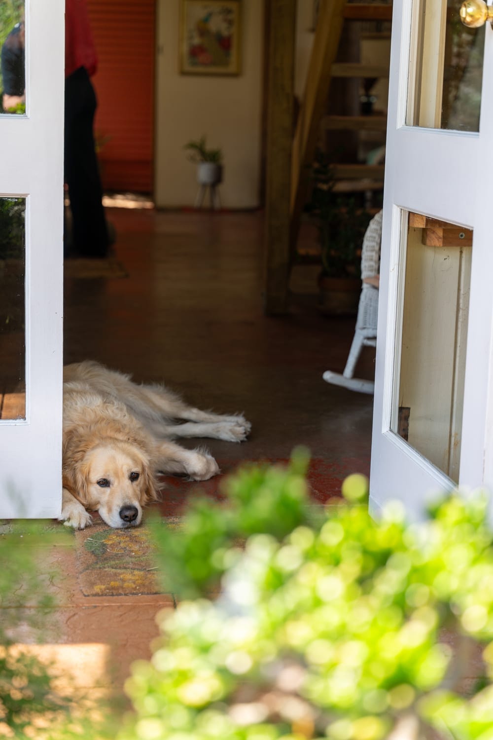 A Private Hinterland Sanctuary with Endless Potential
