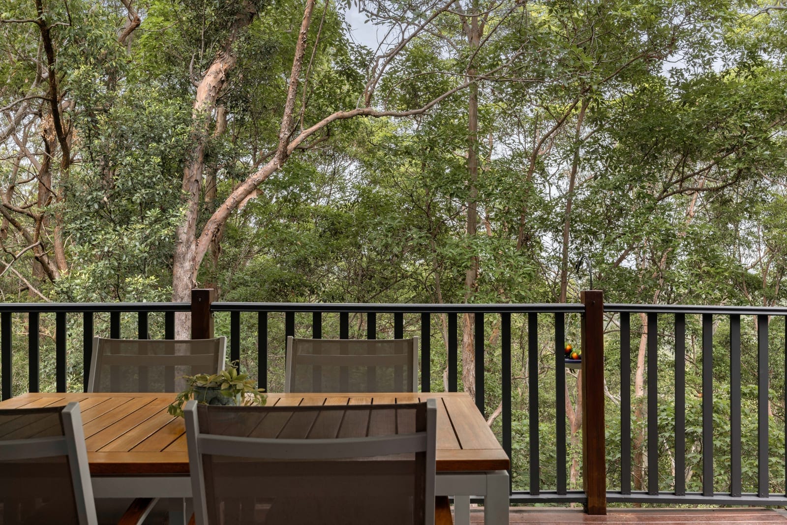Private Forest Backdrop|Elevated Family Living