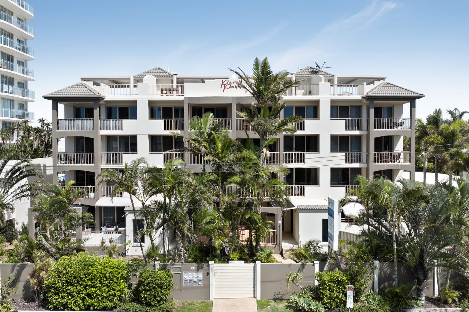 Sold By: Angelina Sweeney - Cotton Tree