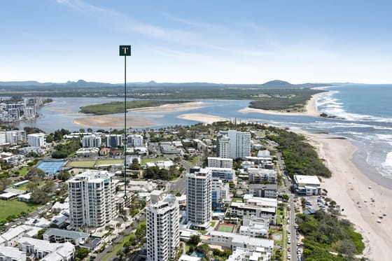 Sold By: Angelina Sweeney - Cotton Tree